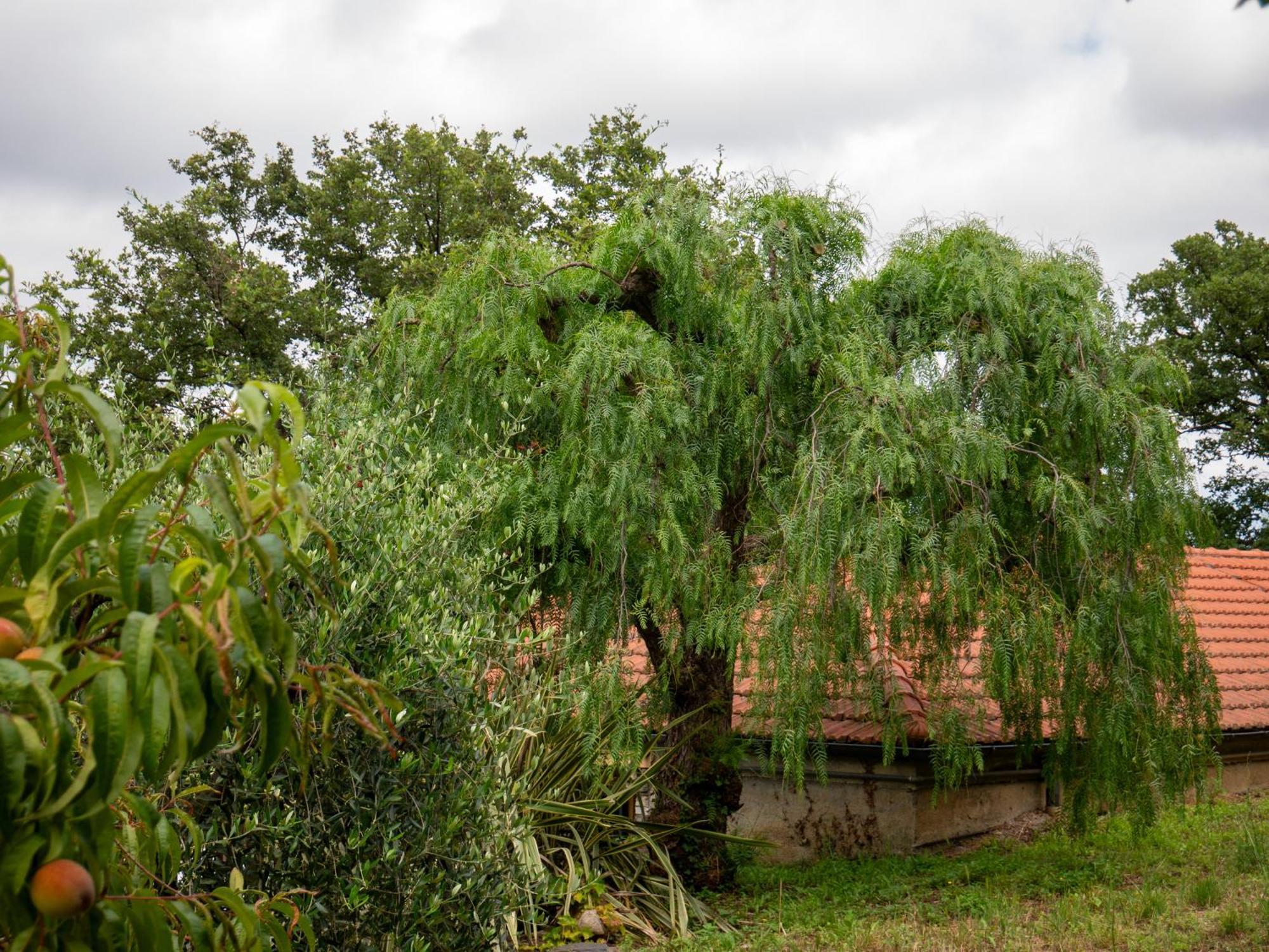 Agri Borgata Vallone - Apartments - By Host4U Lecchiore ภายนอก รูปภาพ