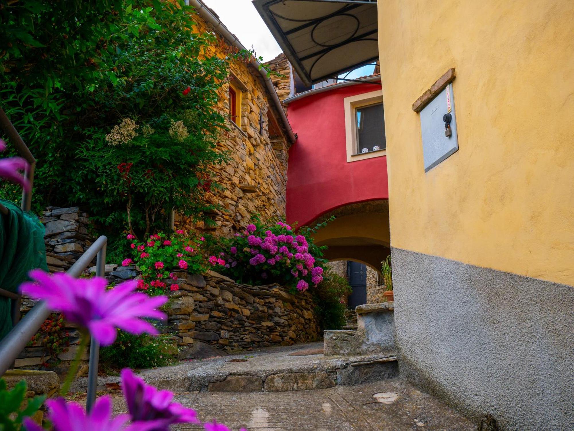 Agri Borgata Vallone - Apartments - By Host4U Lecchiore ภายนอก รูปภาพ